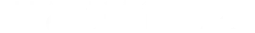 GLOBAL REACH